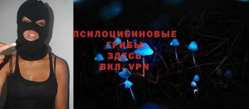 Псилоцибиновые грибы Magic Shrooms  Алапаевск 